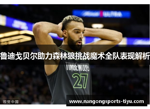 鲁迪戈贝尔助力森林狼挑战魔术全队表现解析