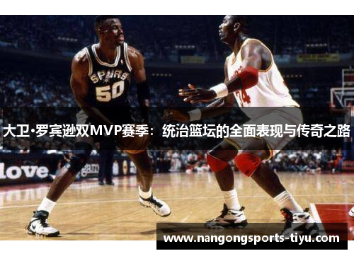 大卫·罗宾逊双MVP赛季：统治篮坛的全面表现与传奇之路